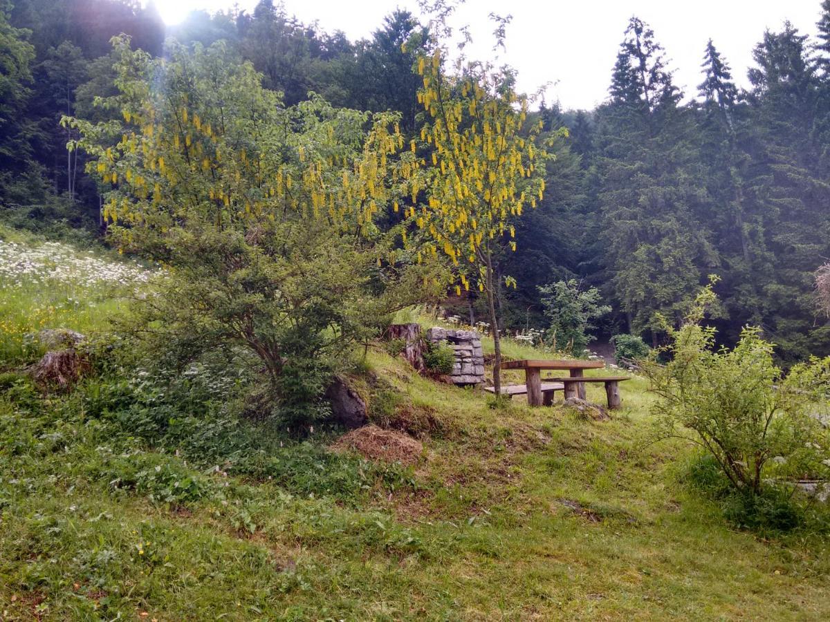 Agritur Manoncin Villa Daone Kültér fotó