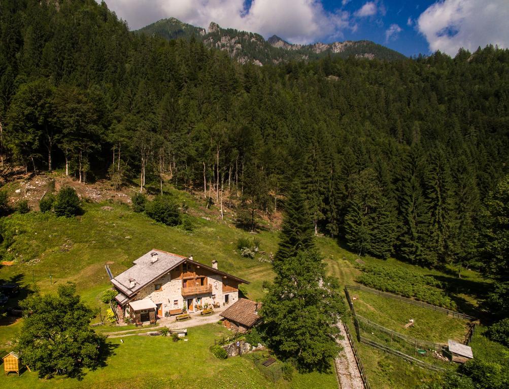 Agritur Manoncin Villa Daone Kültér fotó