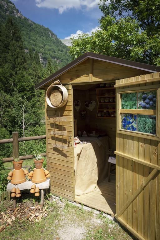 Agritur Manoncin Villa Daone Kültér fotó
