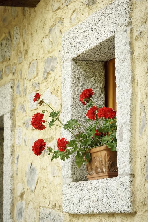 Agritur Manoncin Villa Daone Kültér fotó
