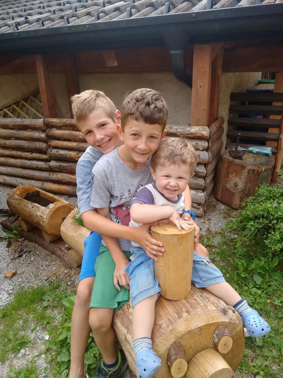 Agritur Manoncin Villa Daone Kültér fotó